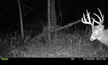 Property for sale in Wayne County, Illinois