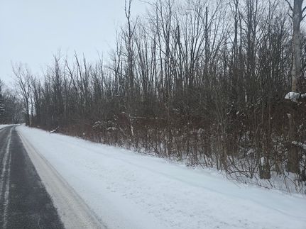 Property for sale in Madison County, New York