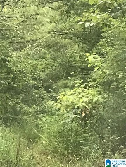 Property for sale in Talladega County, Alabama