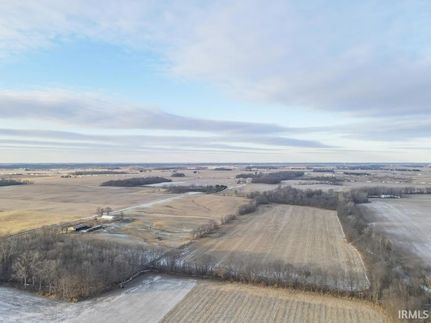 Undeveloped Land for sale in Henry County, Indiana