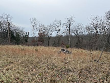 Undeveloped Land for sale in Bracken County, Kentucky