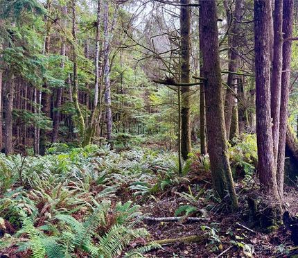 Property for sale in Grays Harbor County, Washington