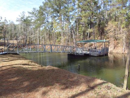 Property for sale in Decatur County, Georgia