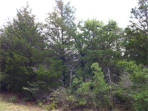 Property for sale in Bastrop County, Texas
