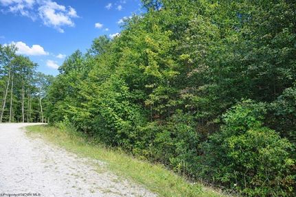 Undeveloped Land for sale in Barbour County, West Virginia