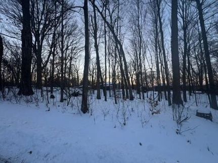 Undeveloped Land for sale in Walworth County, Wisconsin