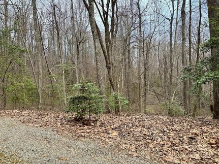 Undeveloped Land for sale in Henderson County, North Carolina