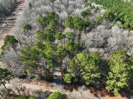 Hunting Land for sale in Cass County, Texas