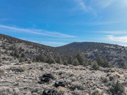 Undeveloped Land for sale in Harney County, Oregon