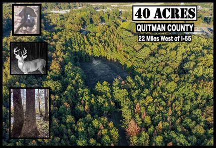 Hunting Land for sale in Quitman County, Mississippi