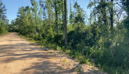 Property for sale in Jackson County, Florida