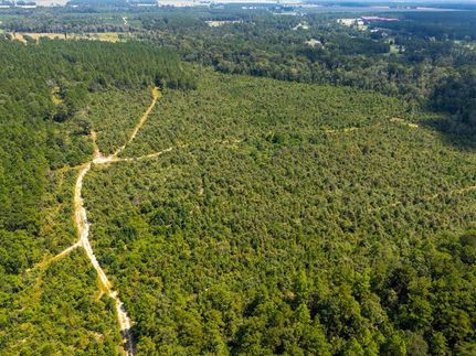 Property for sale in Beauregard Parish, Louisiana