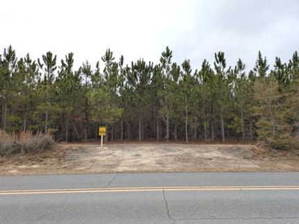 Timberland Property for sale in Columbia County, Florida