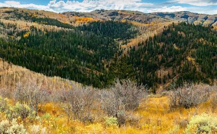 Property for sale in Wasatch County, Utah