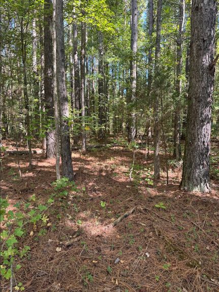Timberland Property for sale in DeKalb County, Tennessee