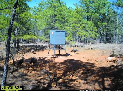 Property for sale in Morris County, Texas