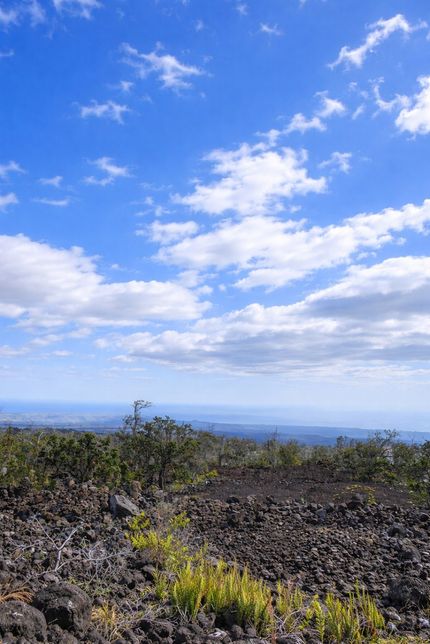 Undeveloped Land for sale in Hawaii County, Hawaii
