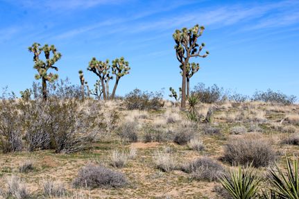 Property for sale in San Bernardino County, California