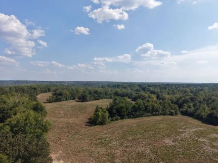 Hunting Land for sale in Decatur County, Tennessee