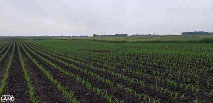 Property for sale in Cottonwood County, Minnesota