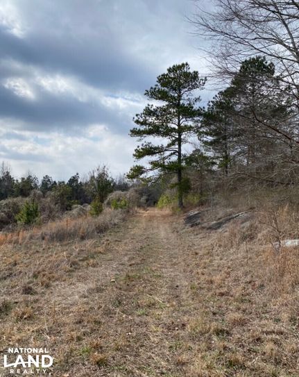 Hunting Land for sale in Saint Clair County, Alabama