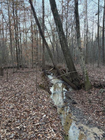 Property for sale in Hale County, Alabama