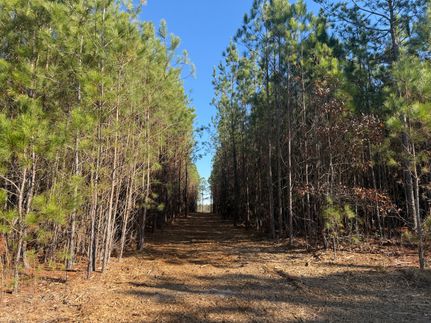 Property for sale in Tallapoosa County, Alabama
