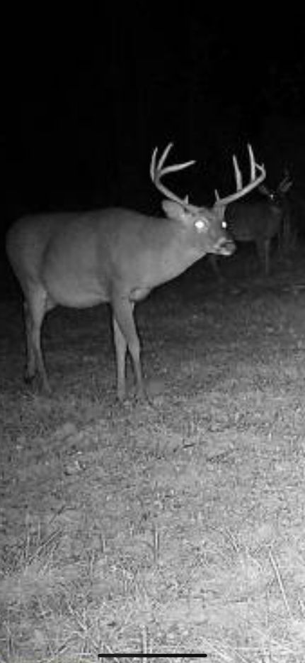 Property for sale in Copiah County, Mississippi