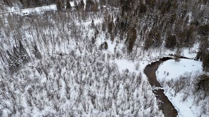 Riverfront Property for sale in Osceola County, Michigan