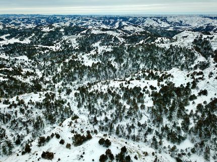 Property for sale in Billings County, North Dakota