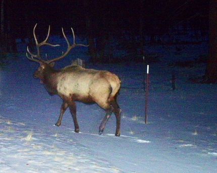 Property in Park County, Colorado