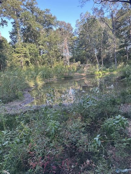 Property for sale in Calhoun County, Alabama