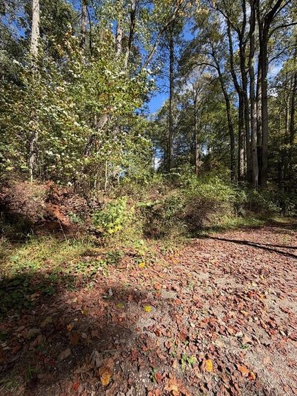 Undeveloped Land for sale in Raleigh County, West Virginia