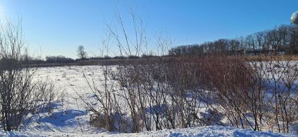Undeveloped Land for sale in Delta County, Michigan