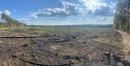 Recreational Property for sale in Lincoln County, Arkansas