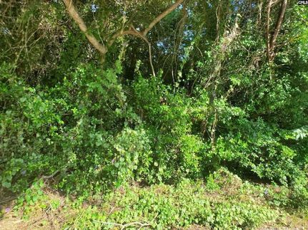 Property for sale in Orangeburg County, South Carolina