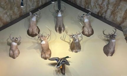 Undeveloped Land for sale in Arkansas County, Arkansas