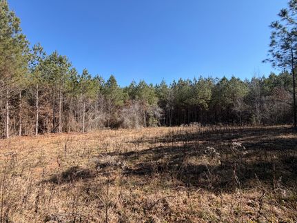 Property for sale in Choctaw County, Mississippi