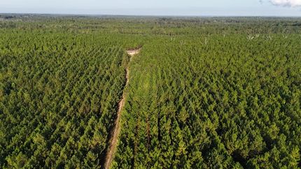 Property for sale in Appling County, Georgia