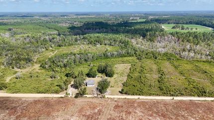 Undeveloped Land for sale in Pierce County, Georgia