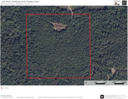 Undeveloped Land for sale in Monroe County, Alabama
