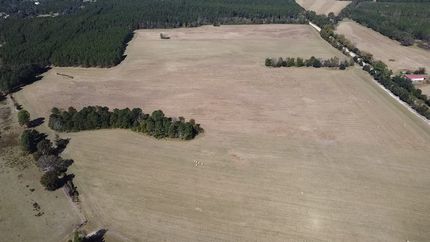 Undeveloped Land for sale in Chesterfield County, South Carolina