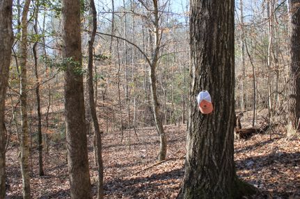 Farm Property for sale in Tuscaloosa County, Alabama