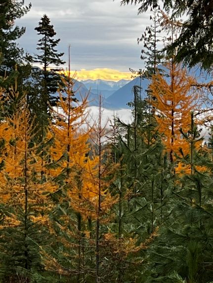 Undeveloped Land for sale in Flathead County, Montana