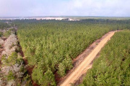 Timberland Property for sale in Kershaw County, South Carolina