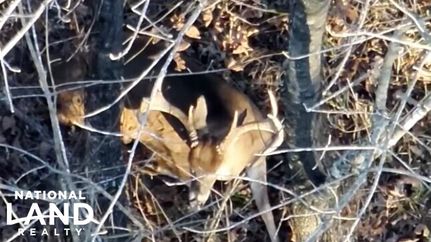 Property for sale in Sharkey County, Mississippi