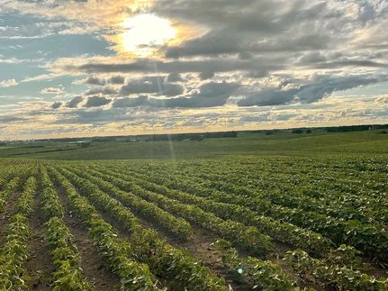 Property for sale in Clay County, Minnesota