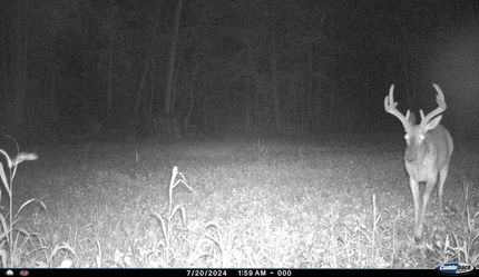 Property in Portage County, Ohio