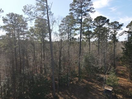 Recreational Property for sale in Union Parish, Louisiana
