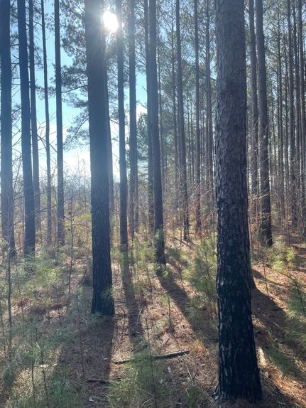 Property for sale in Upson County, Georgia